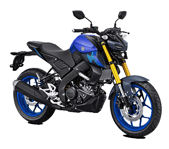 MT 15